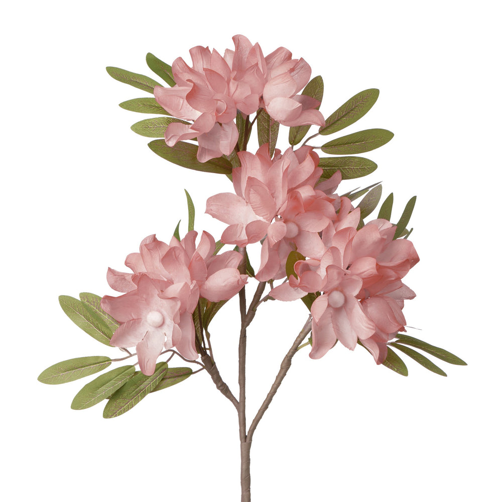 Tige de fleurs de pommier - Rose