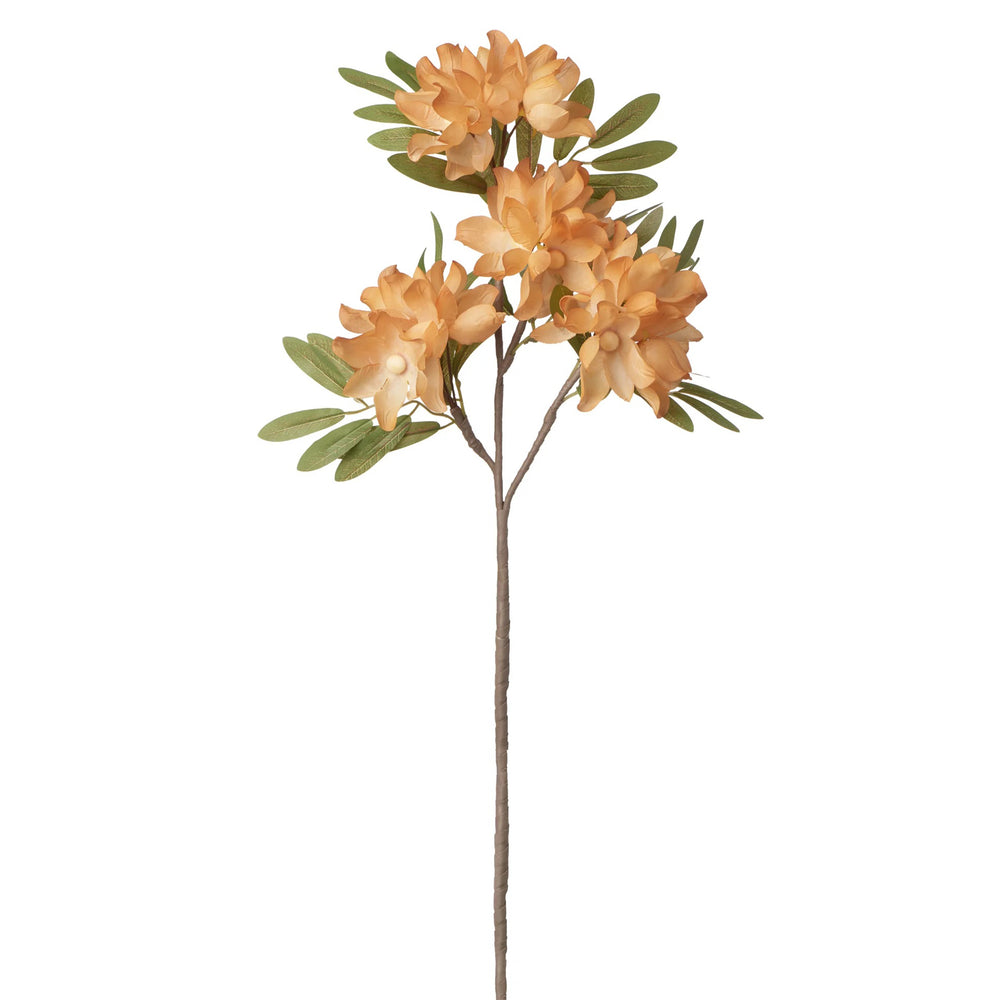Tige de fleurs de pommier - Orange