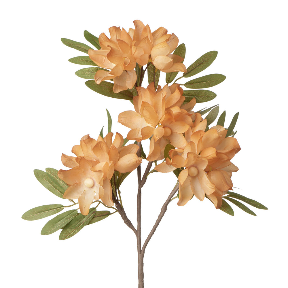 Tige de fleurs de pommier - Orange