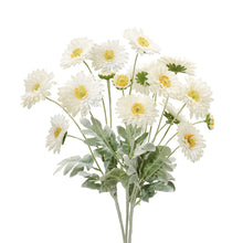 Bouquet - White daisies