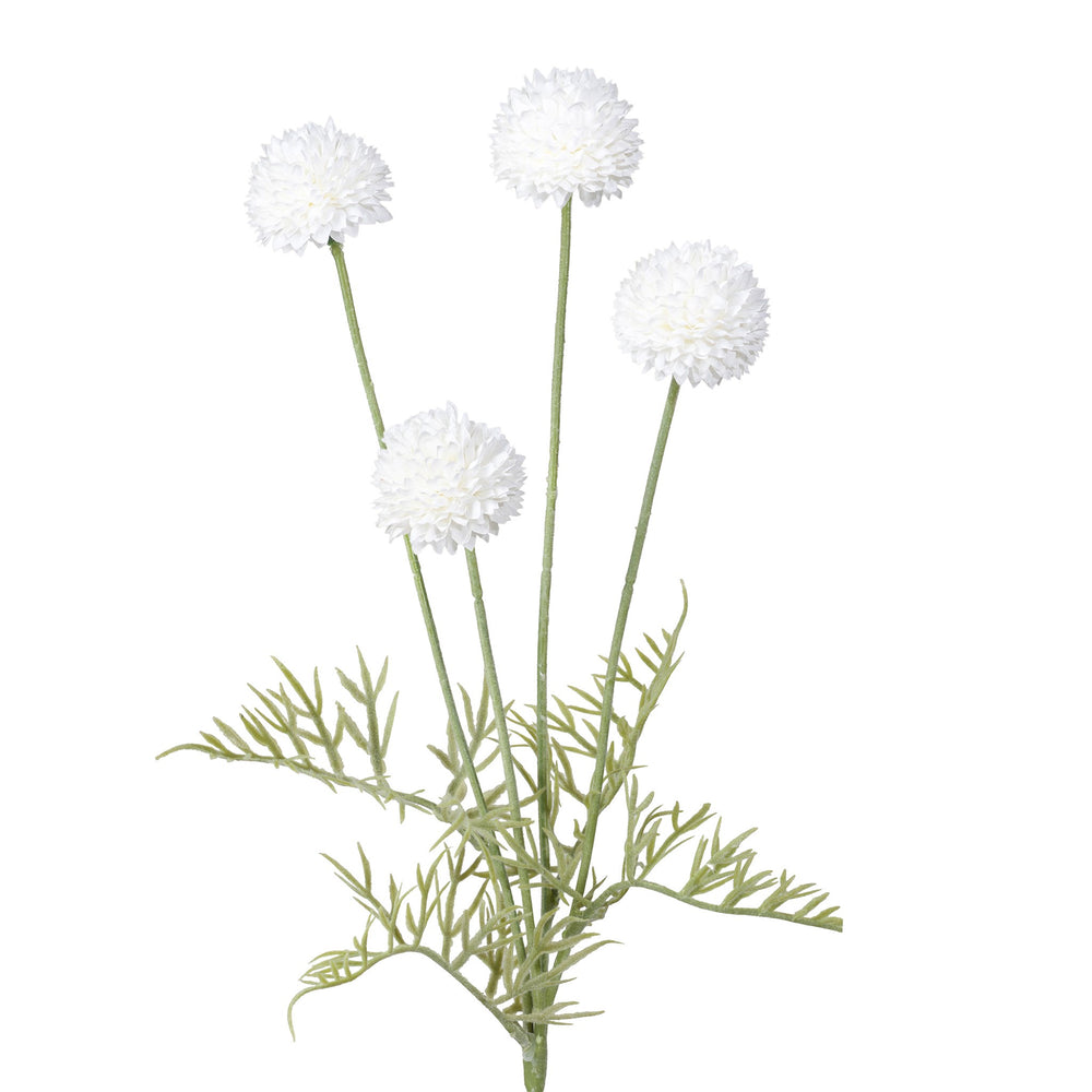 Tige de pompons - Blanche