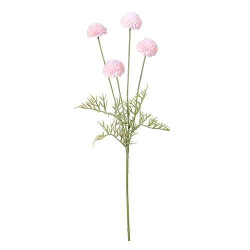 Tige de pompons - Rose