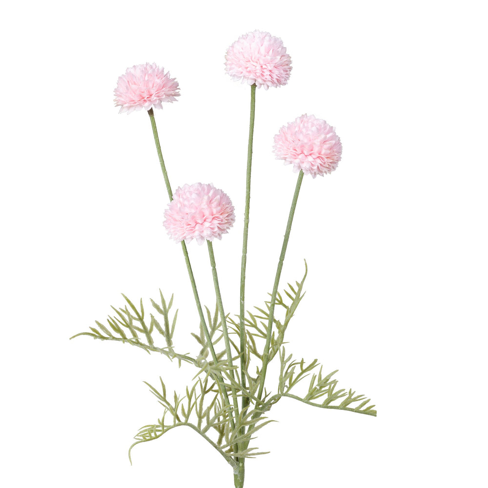 Tige de pompons - Rose