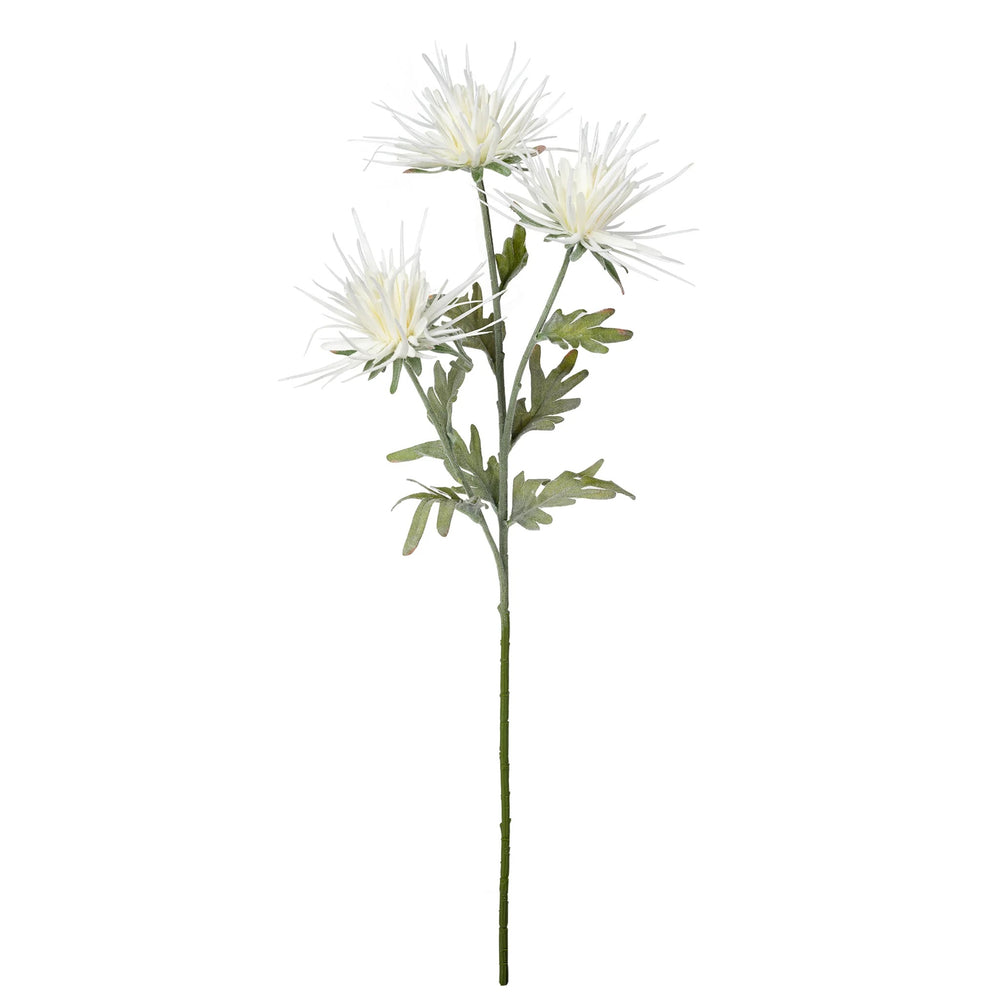 Dahlia flower stem - White