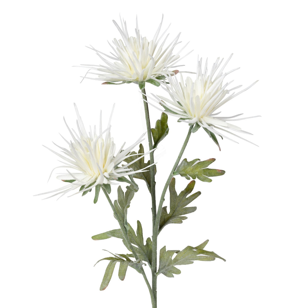 Dahlia flower stem - White