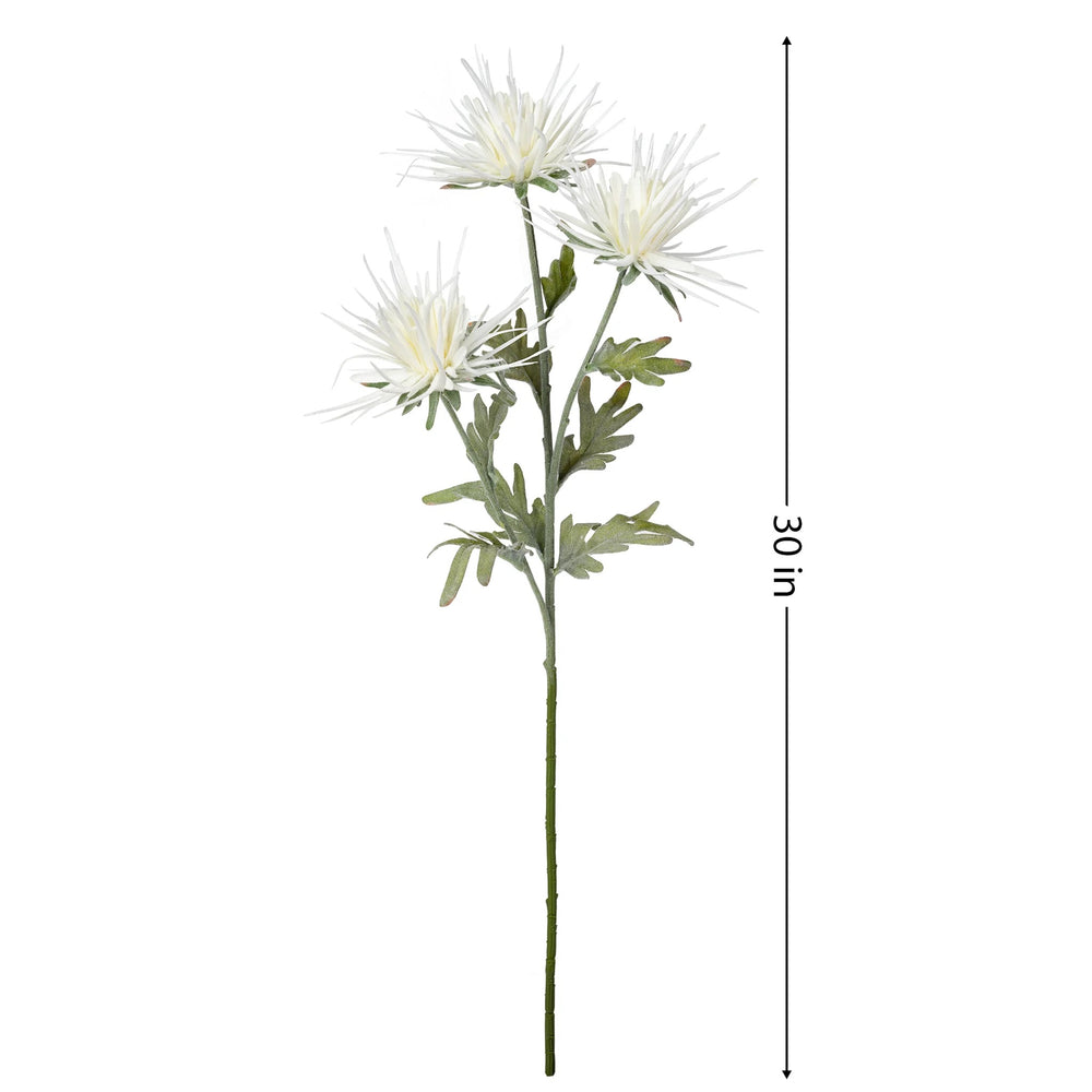 Dahlia flower stem - White