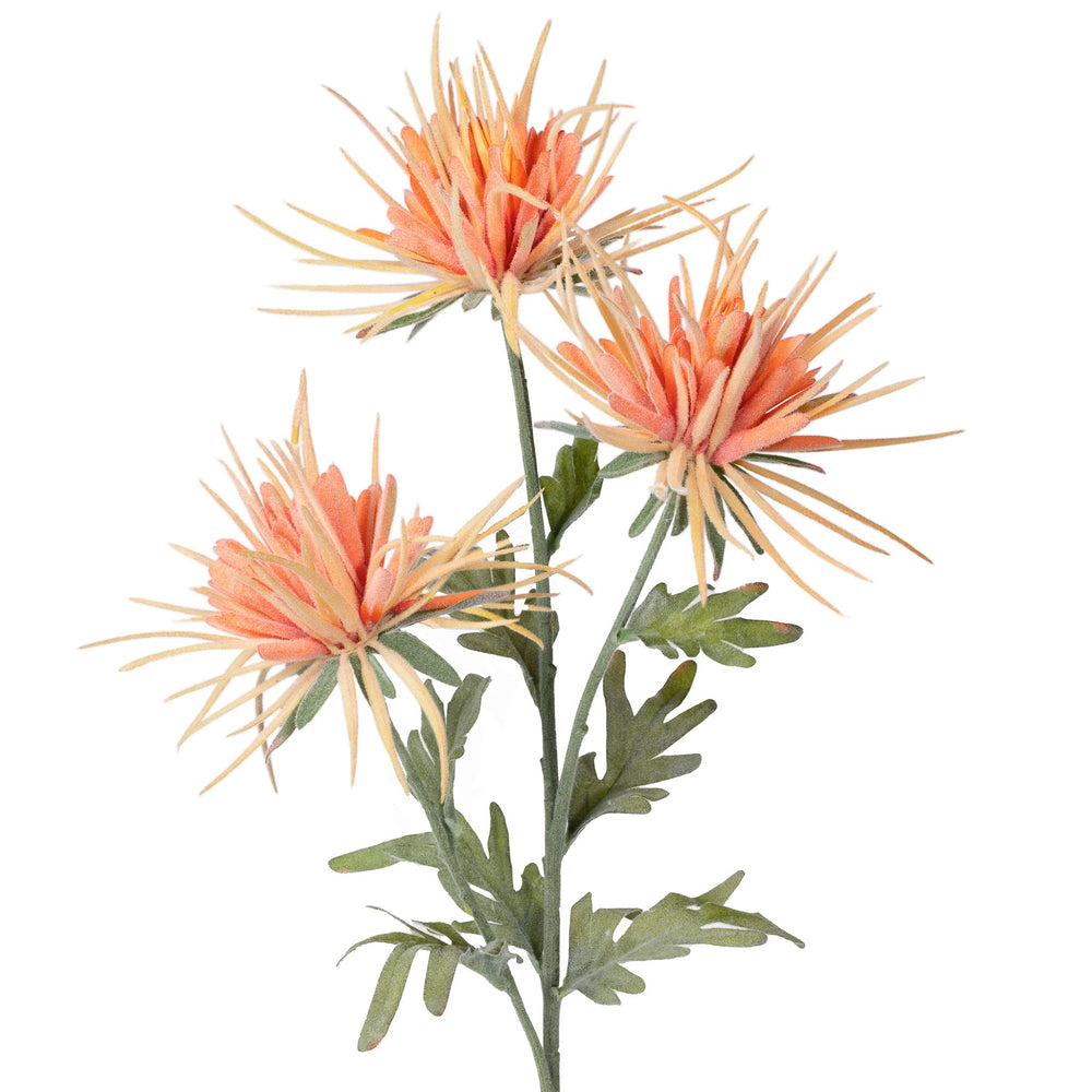 Tige de fleurs Dhalias - Orange