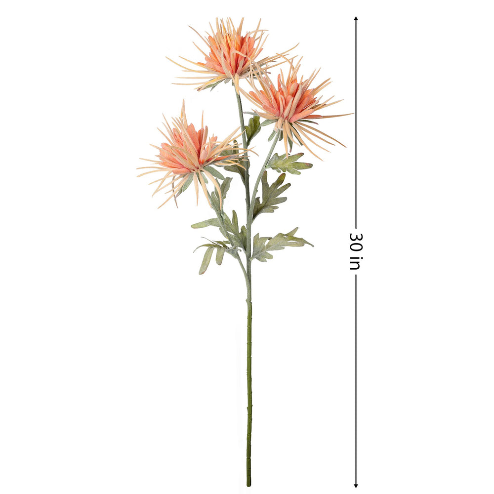 Tige de fleurs Dhalias - Orange
