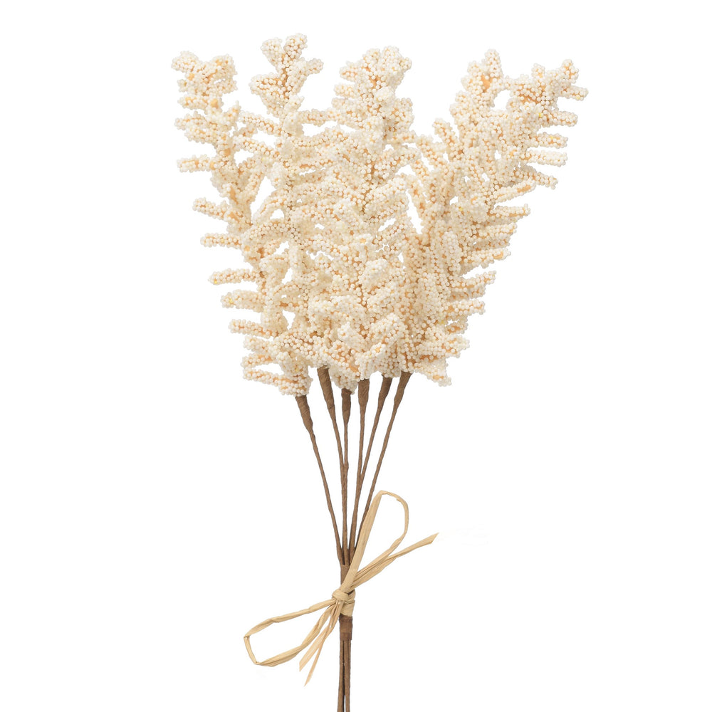Bouquet de Salvia - Blanc