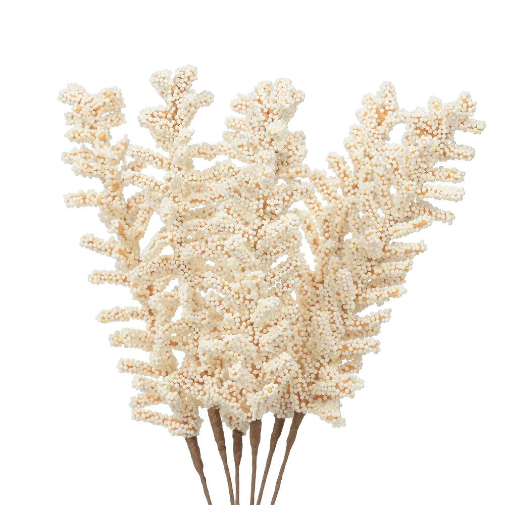 Bouquet de Salvia - Blanc