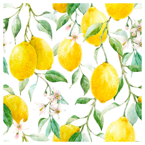 Serviettes de table - Citrons & feuilles||Napkins - Lemons & leaves