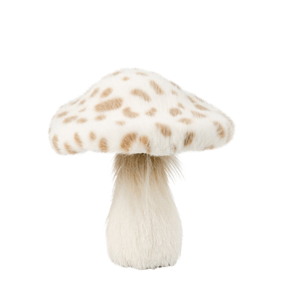 Spotted sweet mushrooms - Medium