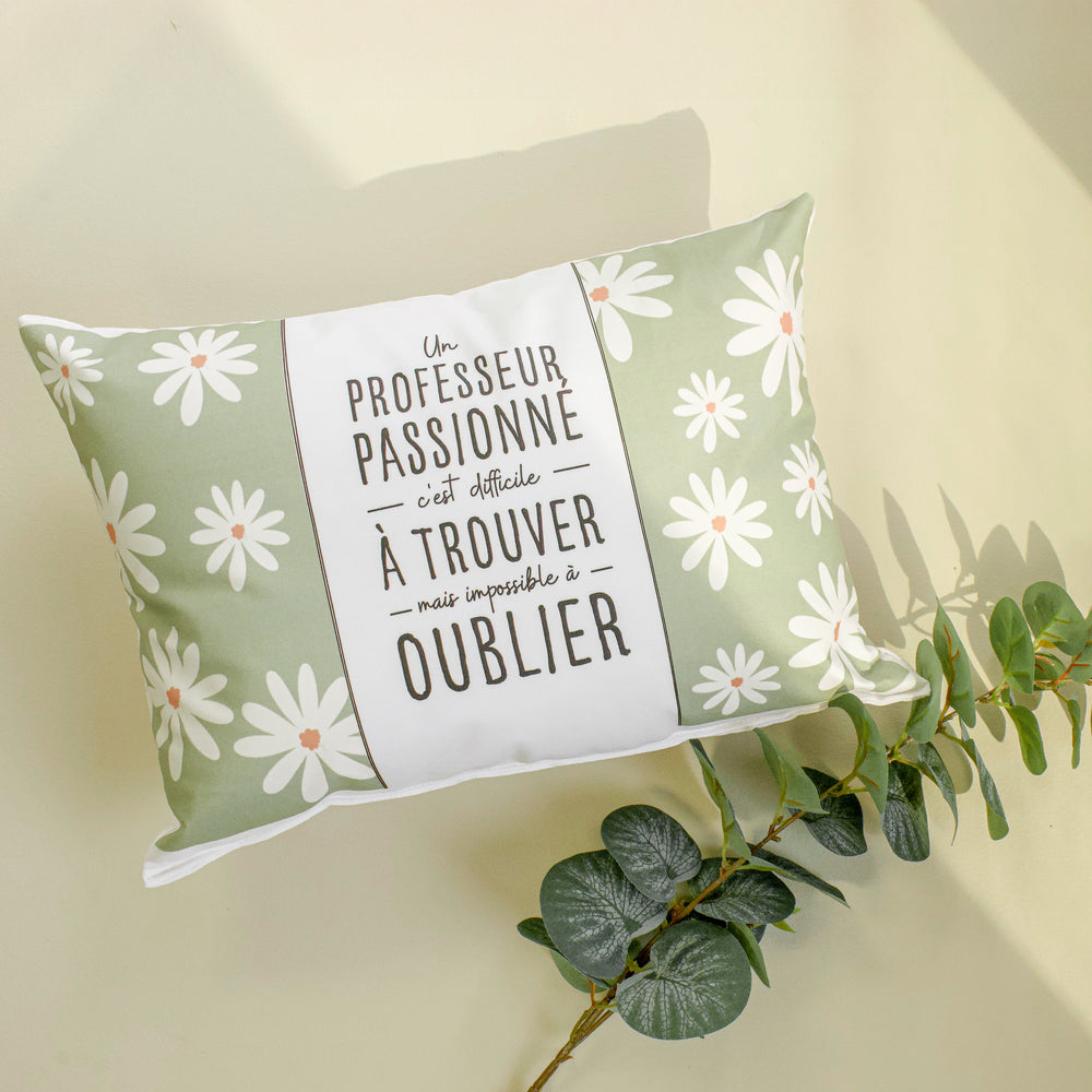 Text cushion -  Professeur