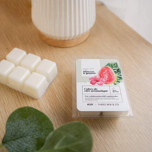 Cubes de cire - Hibiscus & goyave