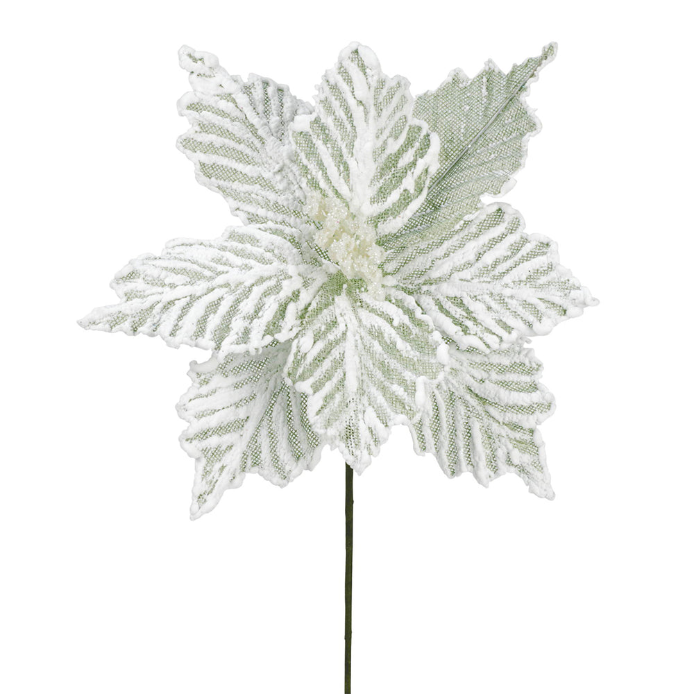 Poinsettia - Frosted green