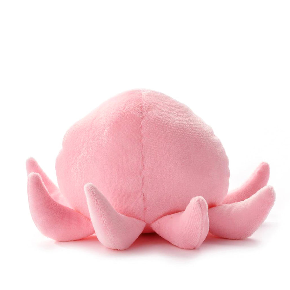 Toutou - Rosie the octopus