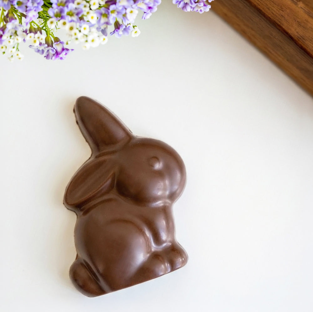Lapin en chocolat - Chocolat au lait