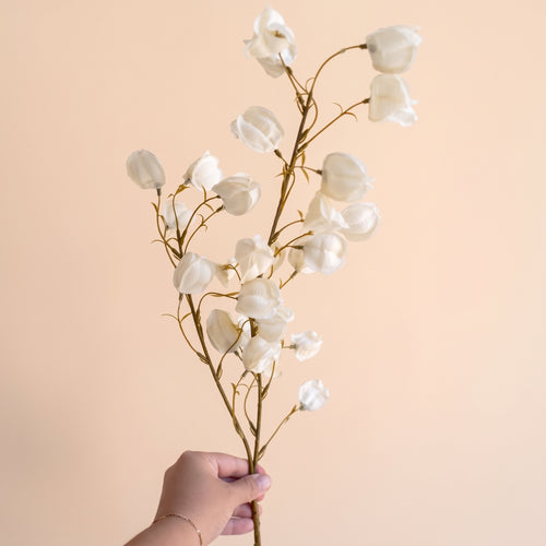 Currant branch - Beige