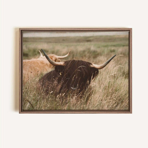 Toile - Highland Spirit