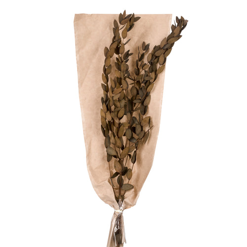 Bouquet de feuilles brunes - 20"||Brown Leaf bouquet - 20"