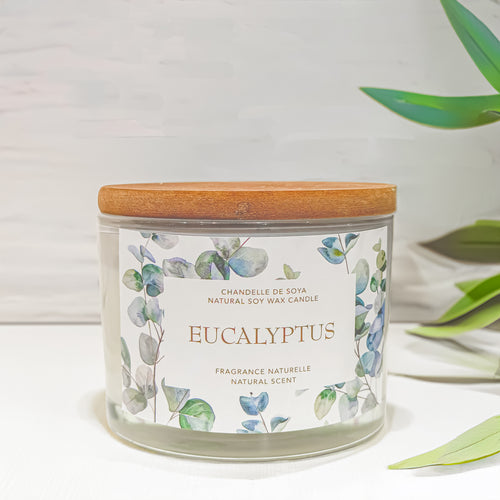 Eucalyptus 3 wick candle