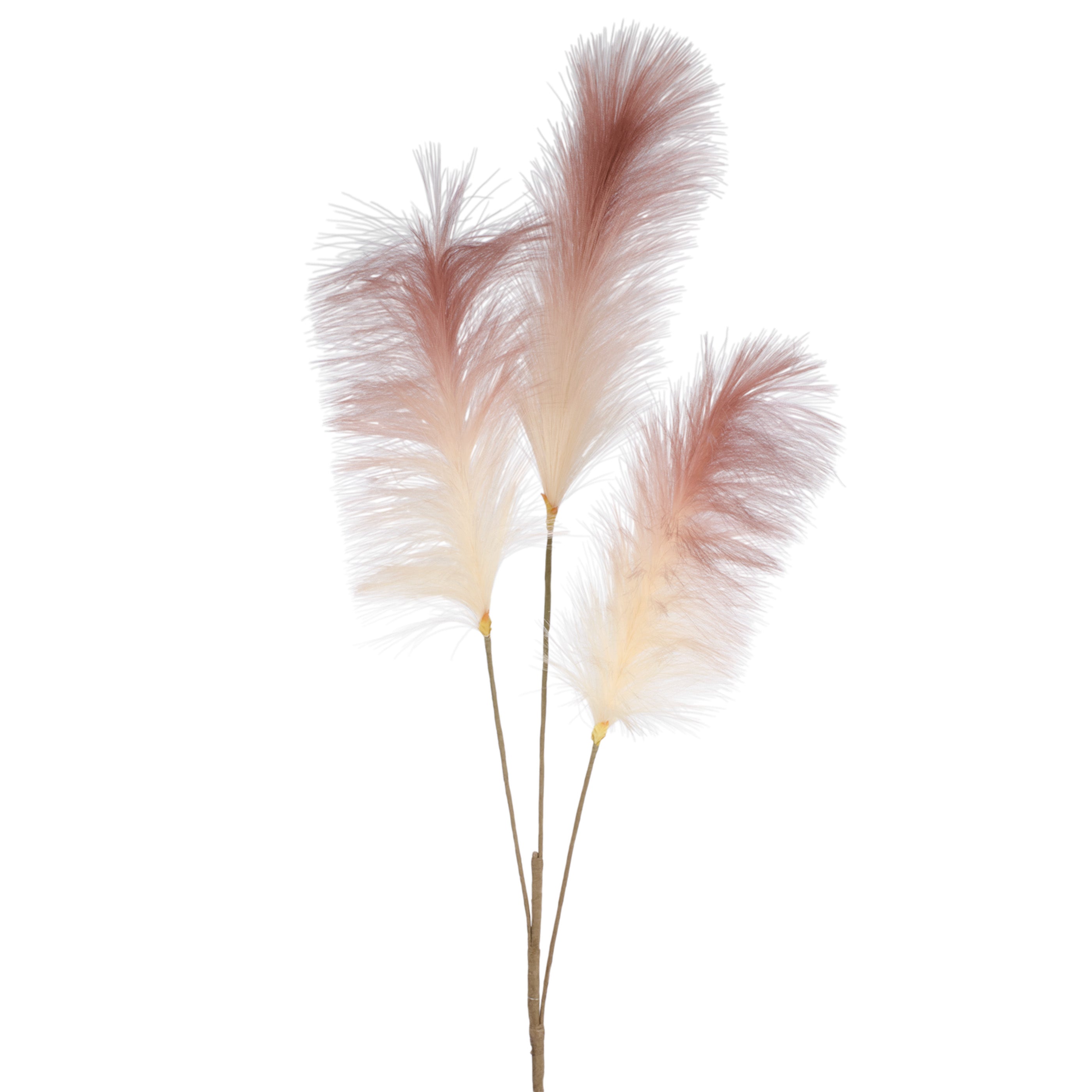 Feather stem 2 tones Branches stems Boutique Kozy