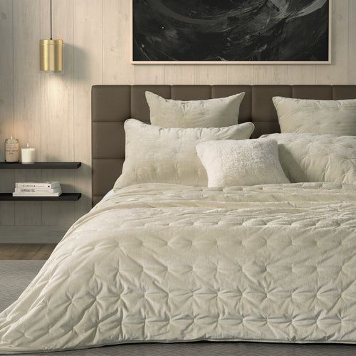 Ivory velvet quilt - Lounge