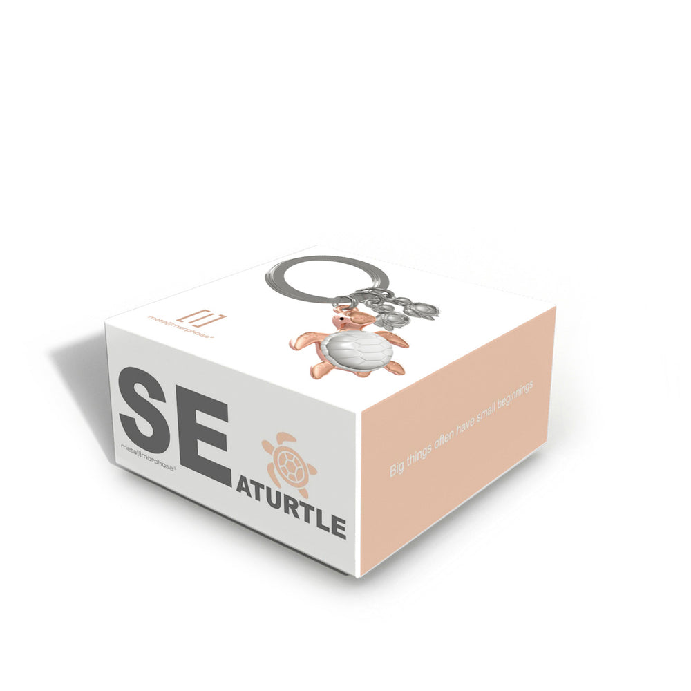 Porte-clés - Famille de tortues||Key ring - Turtles family