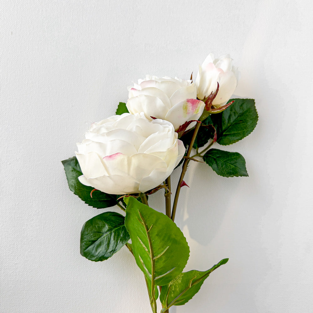 Bouquet de roses blanches||Bouquet of white roses