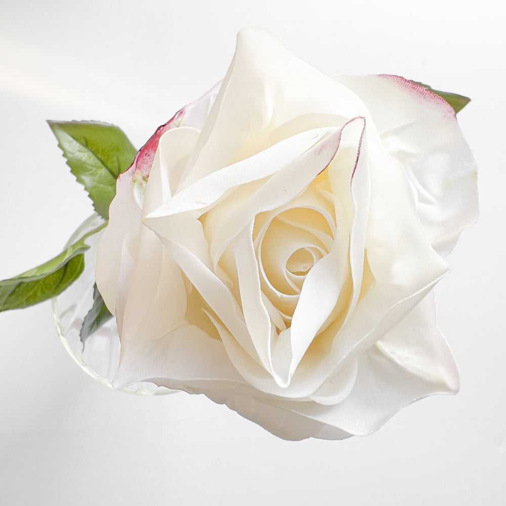 Sauge blanche  Boutique Holistique Rose Blooming Mind en ligne et