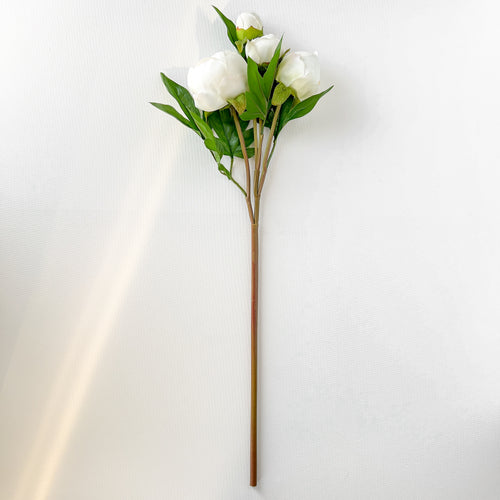 Bouquet de pivoines blanches||Bouquet of white peonies