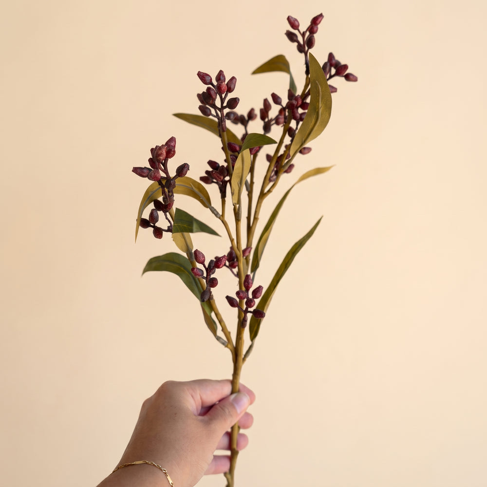 Berry branch - Bourgogne