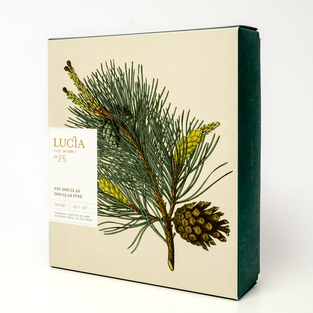 Gift box - Douglas Fir