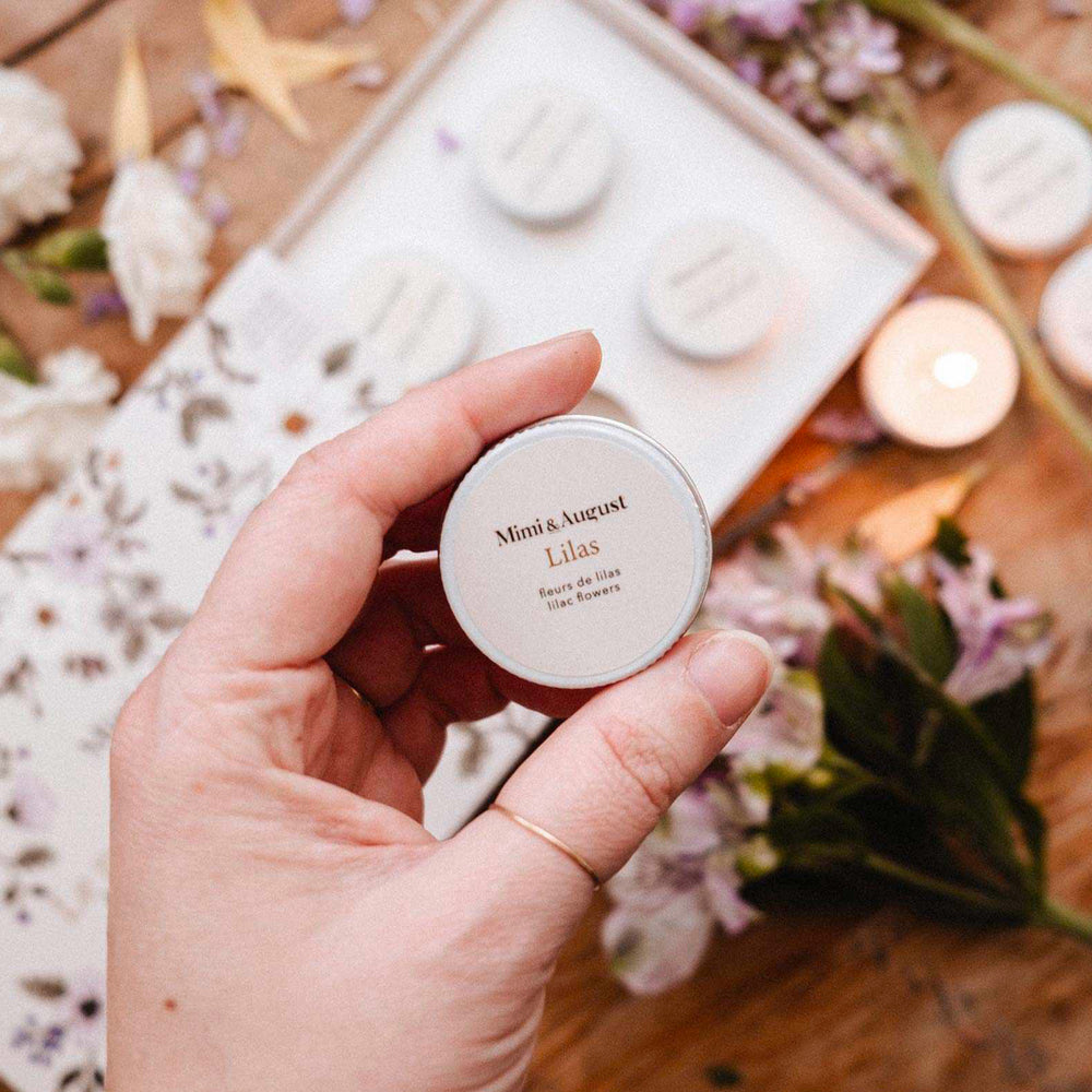 Discovery set -  Spring/Summer