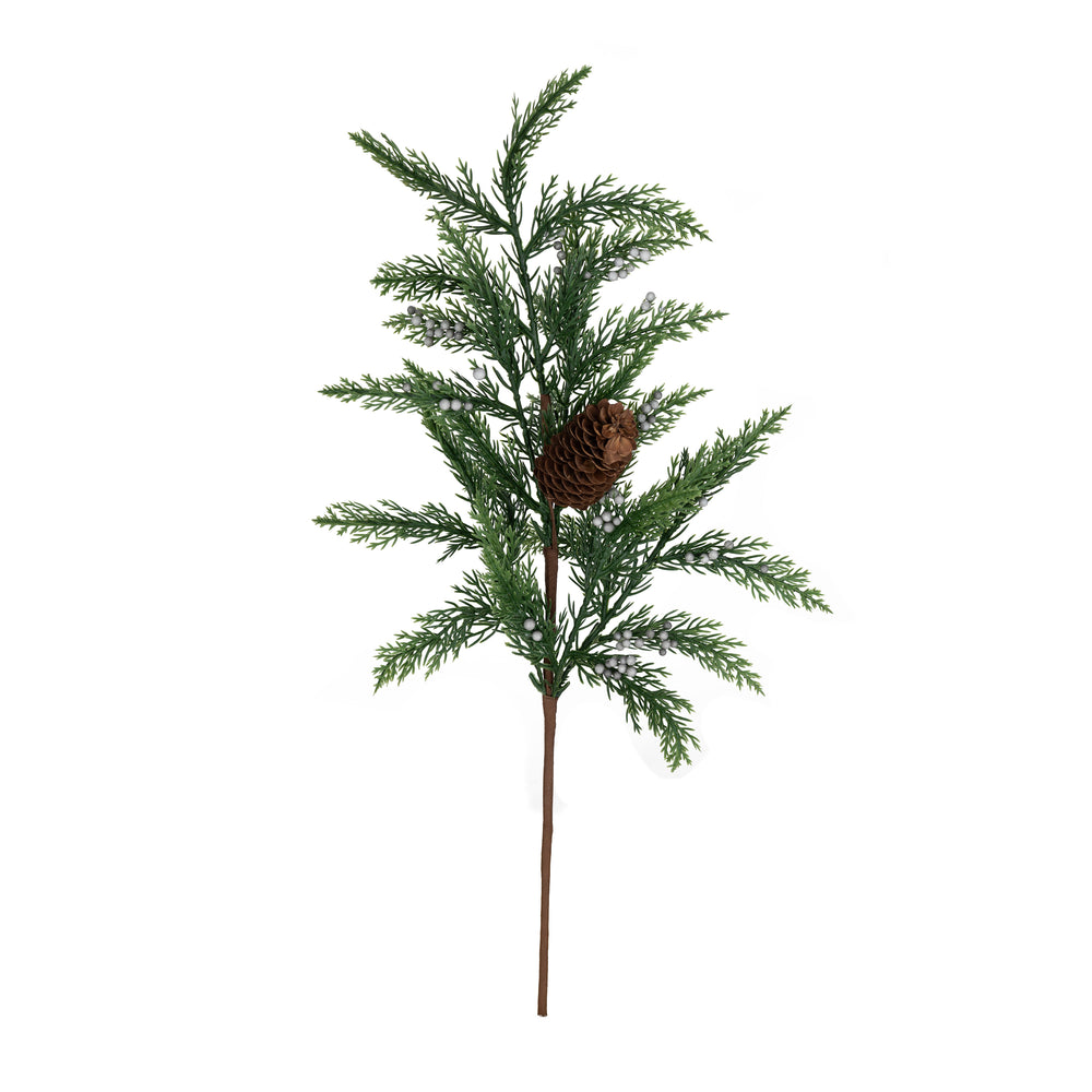 Tige de cèdre - Baies argentées