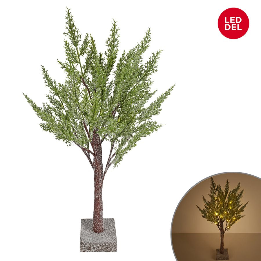 Snow-Covered Tree - Illuminated Cedar