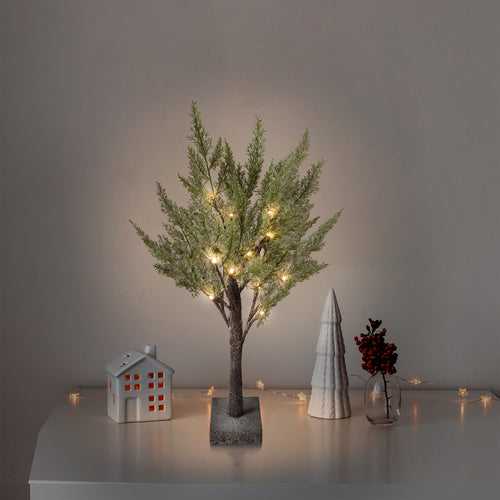 Snow-Covered Tree - Illuminated Cedar