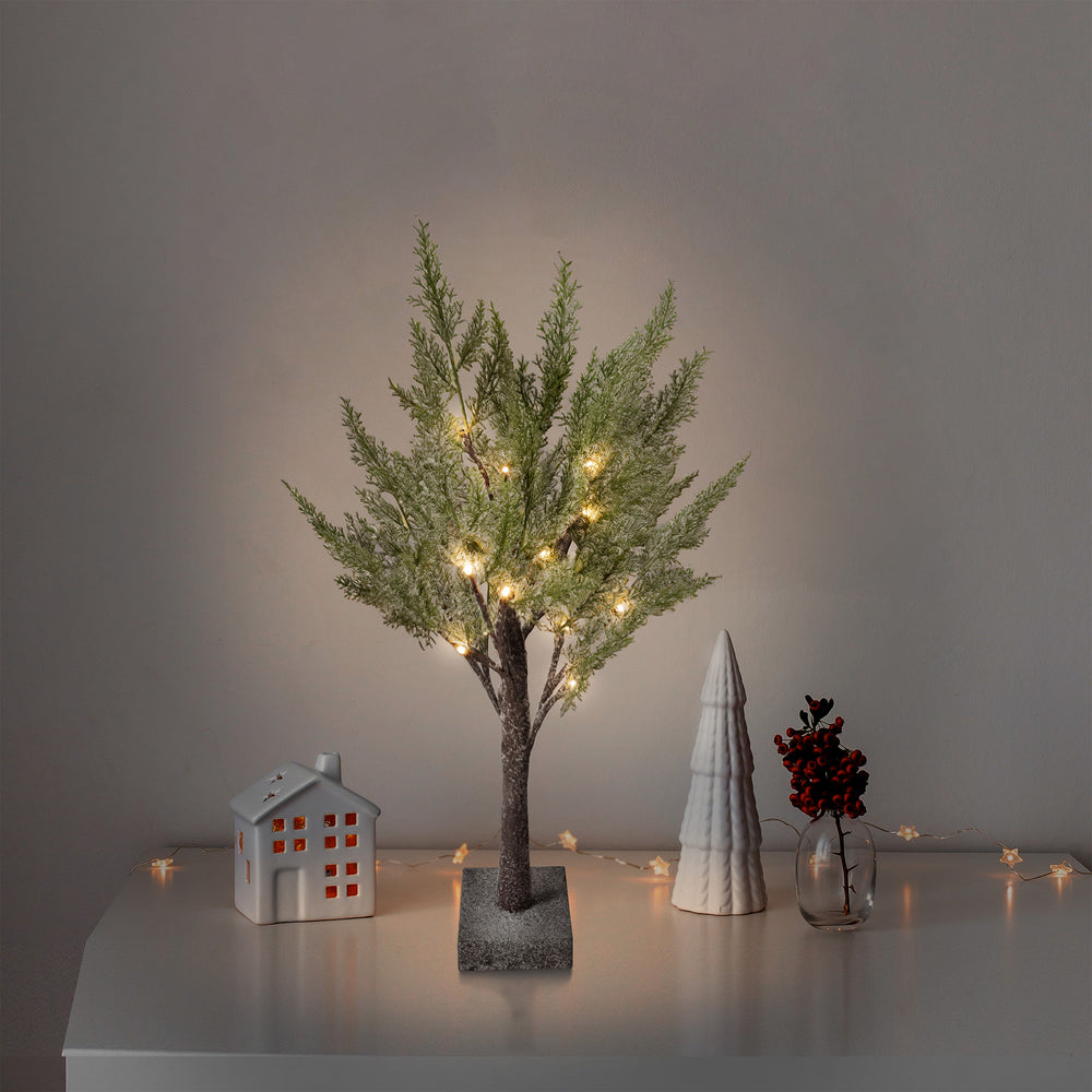 Snow-Covered Tree - Illuminated Cedar