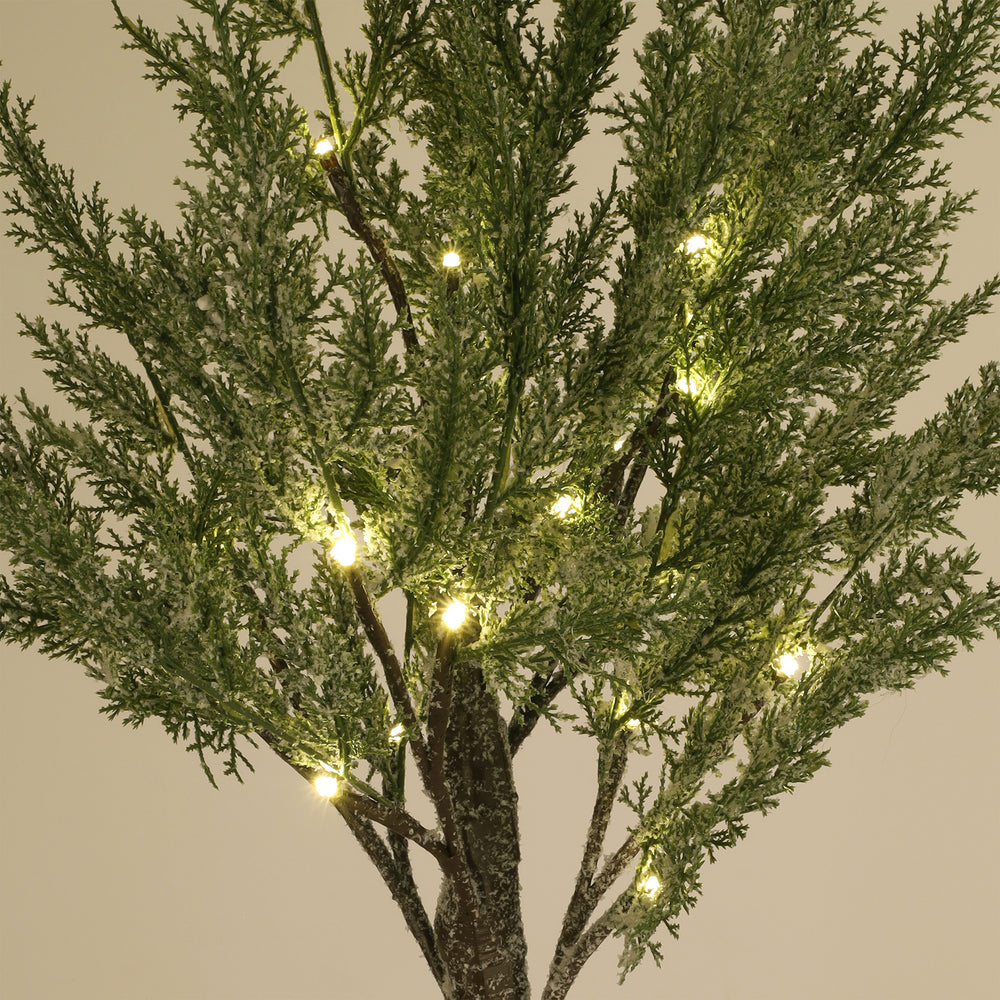 Snow-Covered Tree - Illuminated Cedar