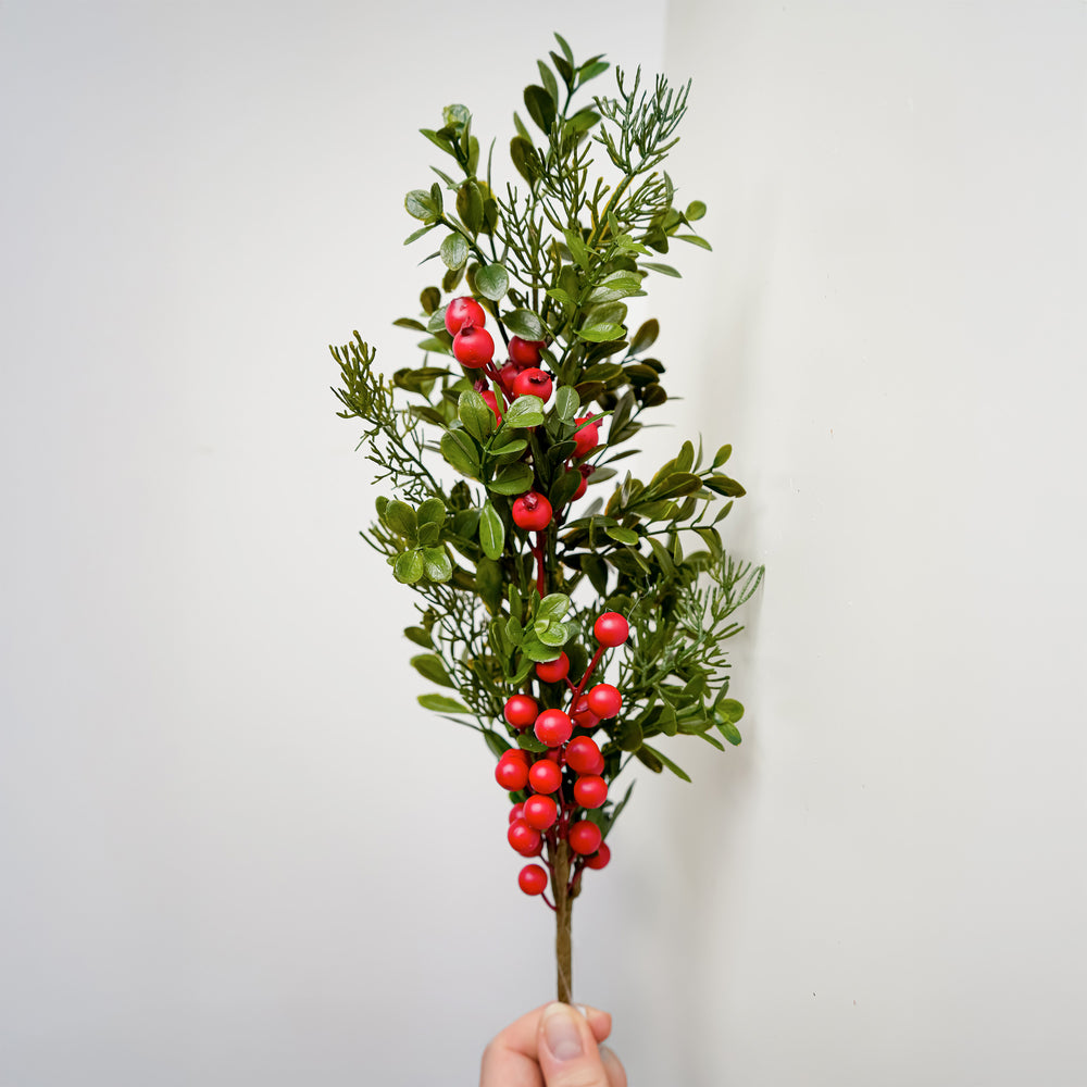 Tige de cèdre avec baies rouges