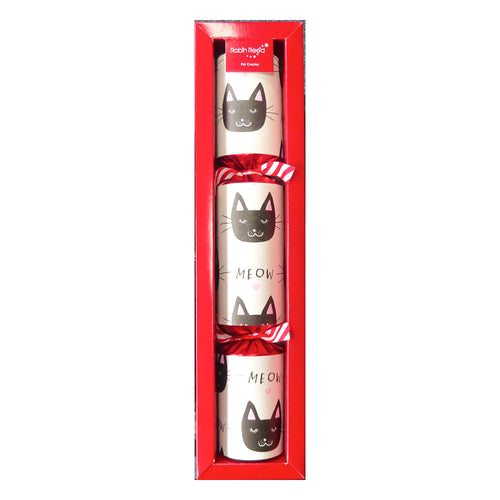 Christmas Cracker for Cats