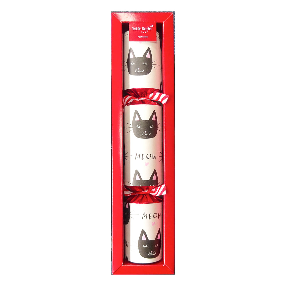 Christmas Cracker for Cats