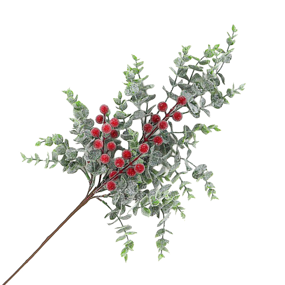 Tige d'eucalyptus givré & baies rouges