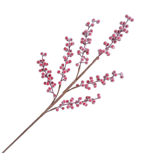 Red Berry Stem