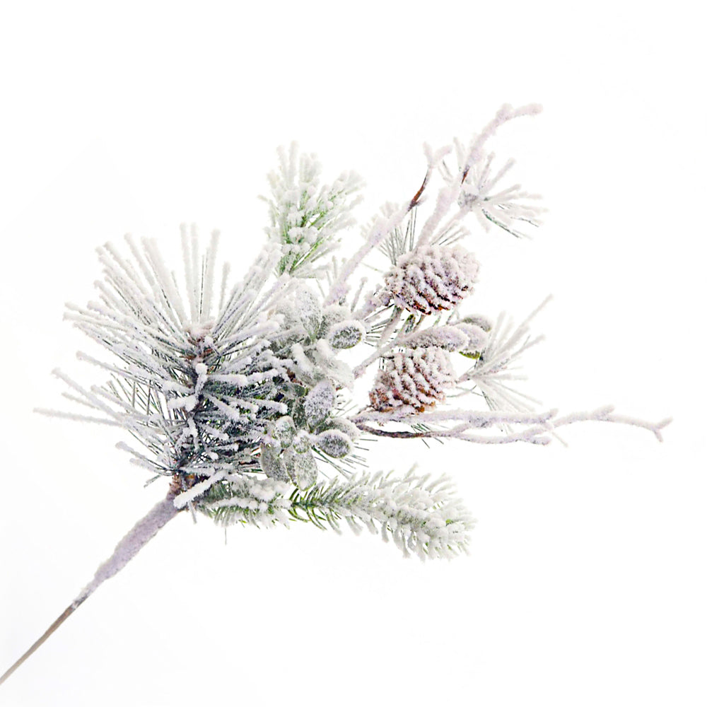 Pine Branch & Pinecones