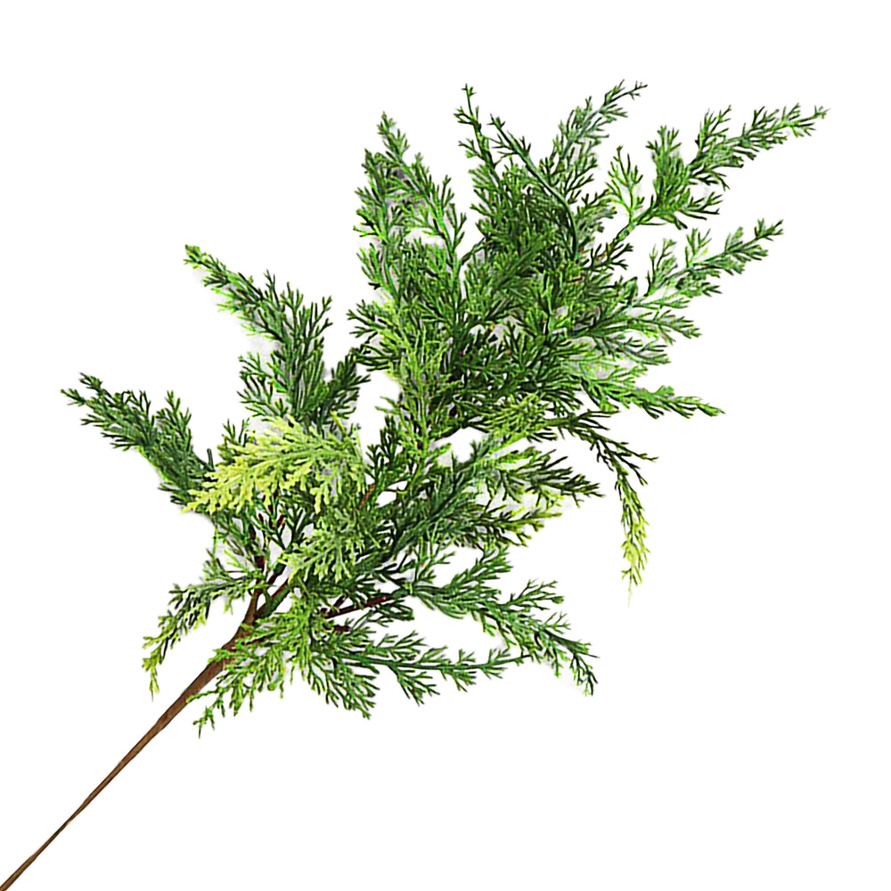 Cedar Stem