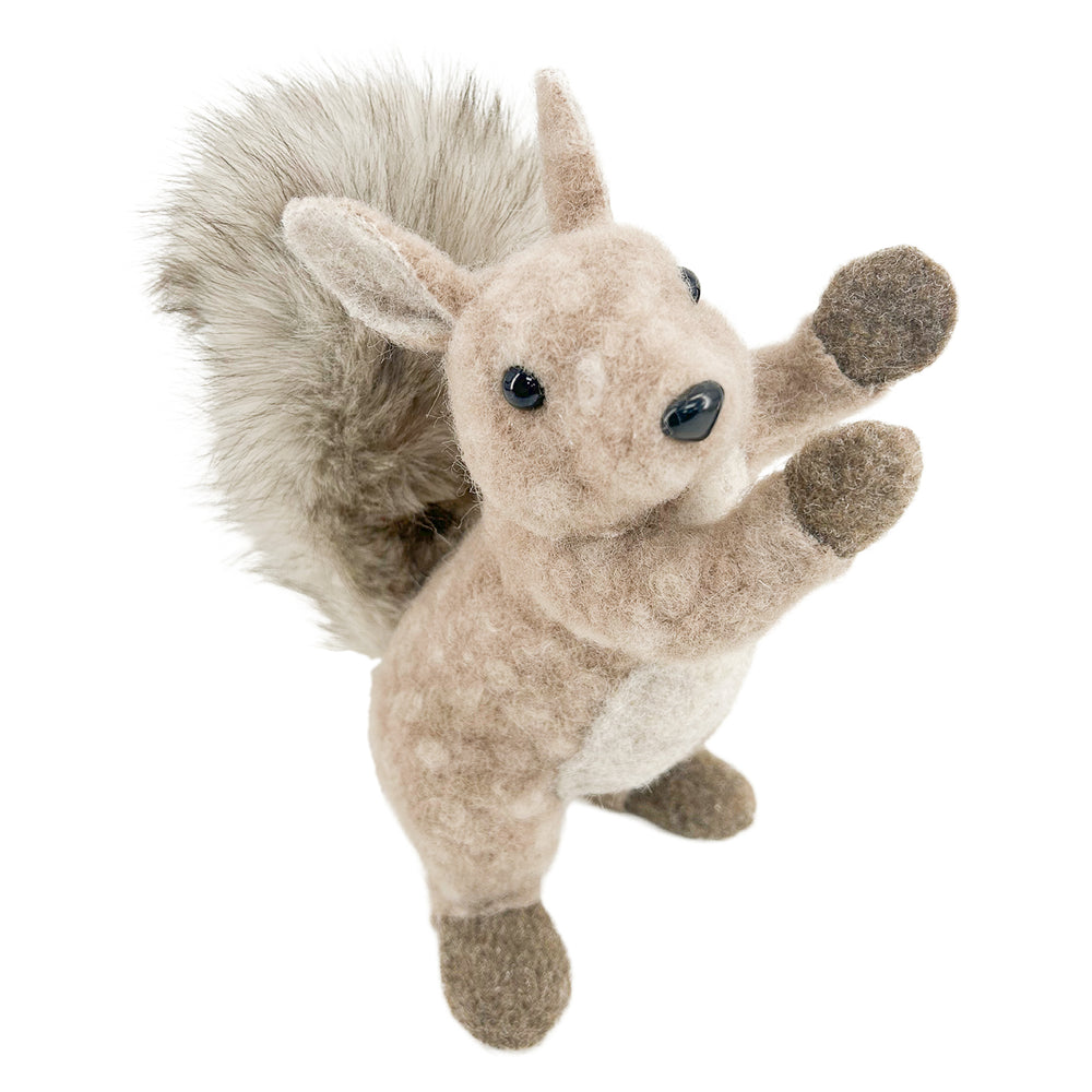 Brown and Gray Squirrel