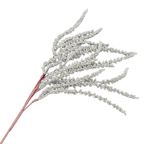 Tige de baies ivoires