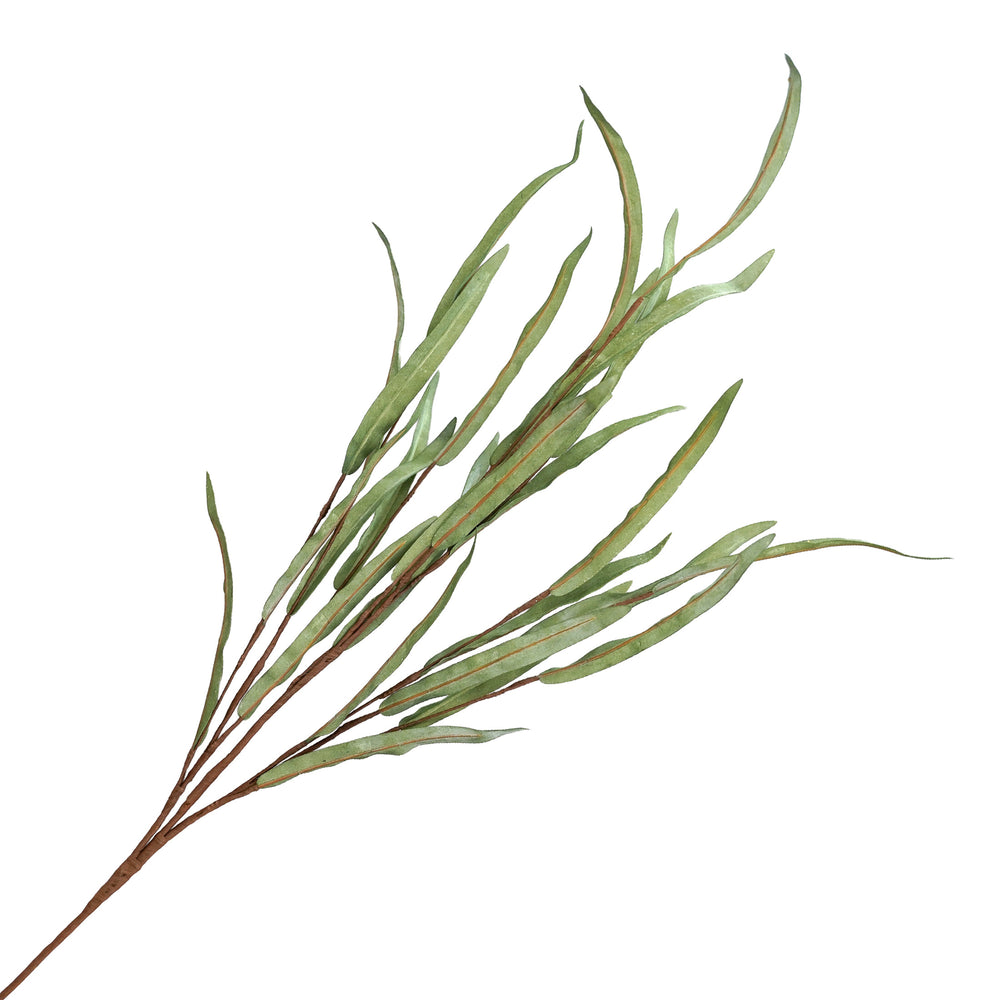 Branch - Green foliage