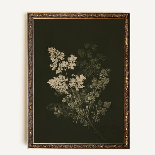 Toile vintage - Herbes des bois II